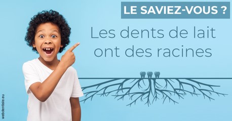 https://selarl-cabdentaire-idrissi.chirurgiens-dentistes.fr/Les dents de lait 2