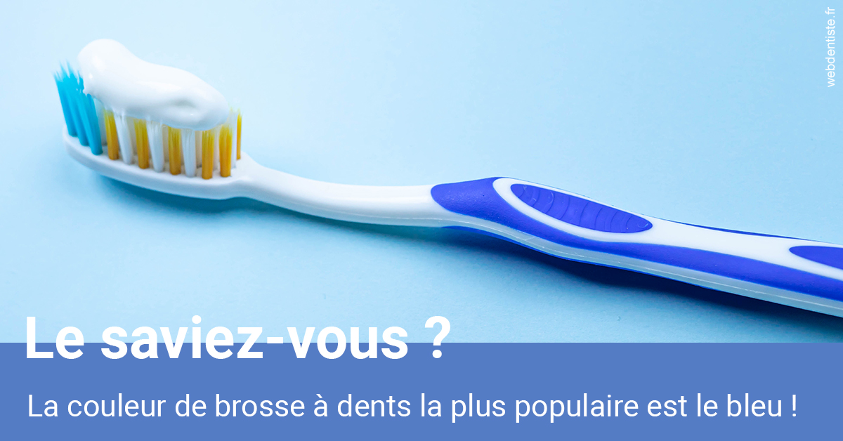 https://selarl-cabdentaire-idrissi.chirurgiens-dentistes.fr/Couleur de brosse à dents