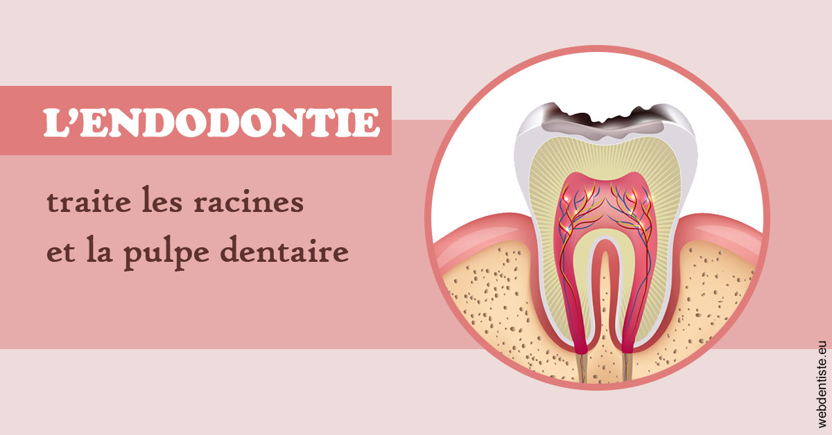 https://selarl-cabdentaire-idrissi.chirurgiens-dentistes.fr/L'endodontie 2