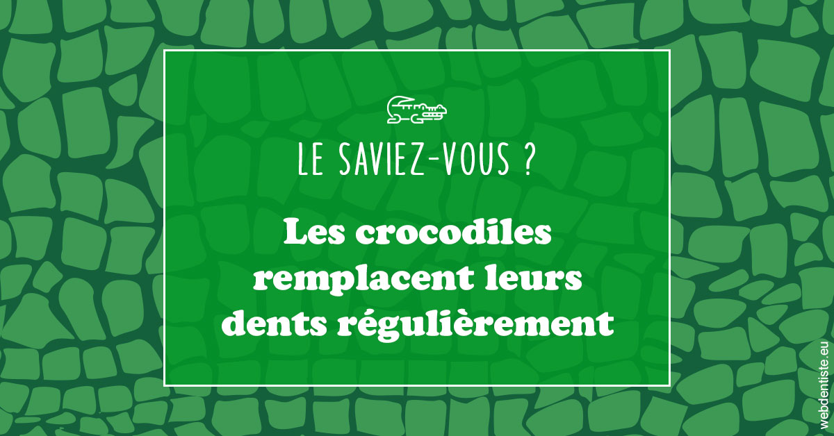 https://selarl-cabdentaire-idrissi.chirurgiens-dentistes.fr/Crocodiles 1